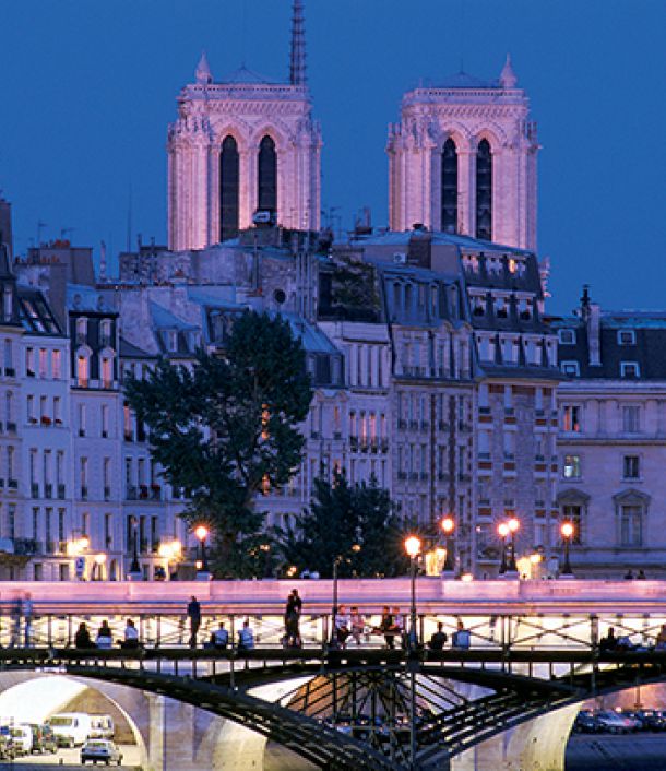 Vue panoramique que la cathédrale Notre Dame de Paris